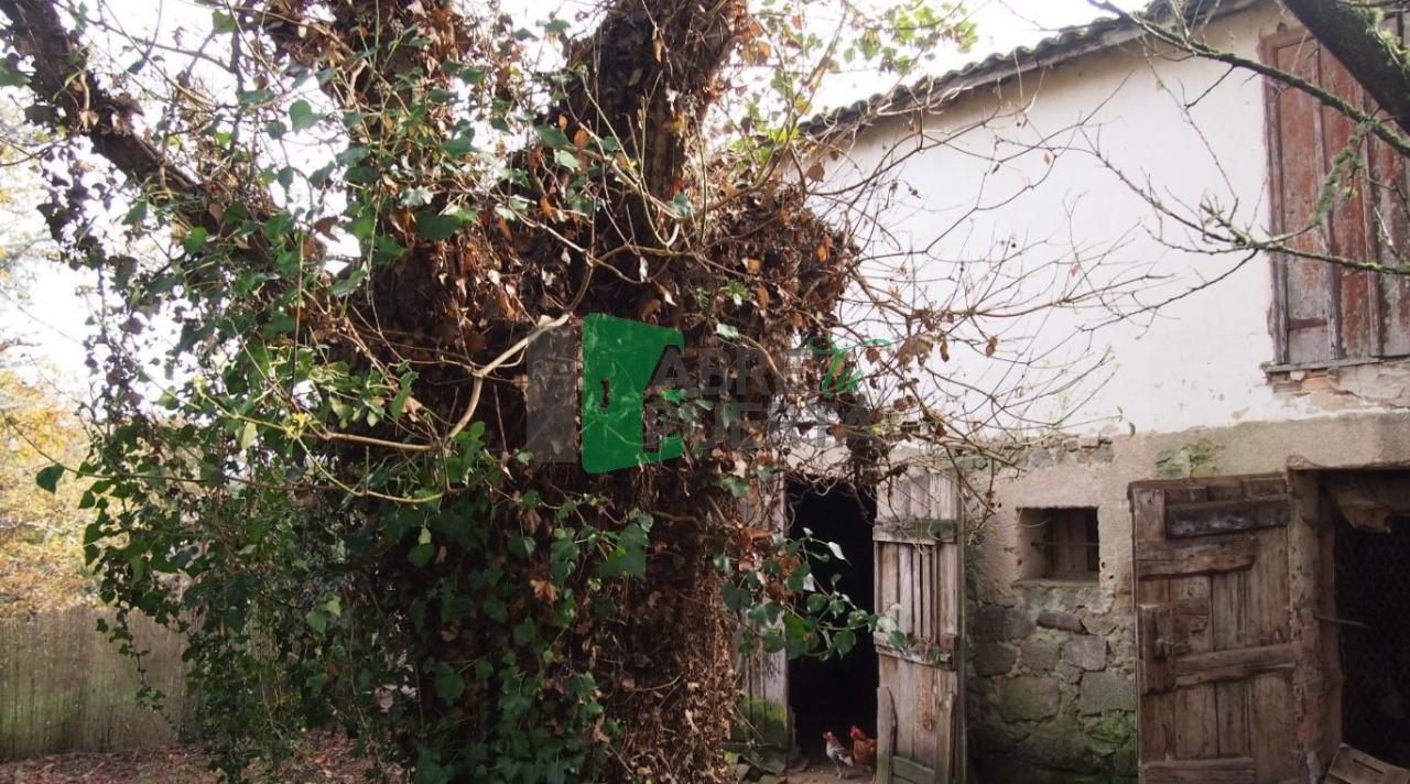 169839595315900035312_169834281231 PAZO EN VENTA EN PEREIRO DE AGUIAR