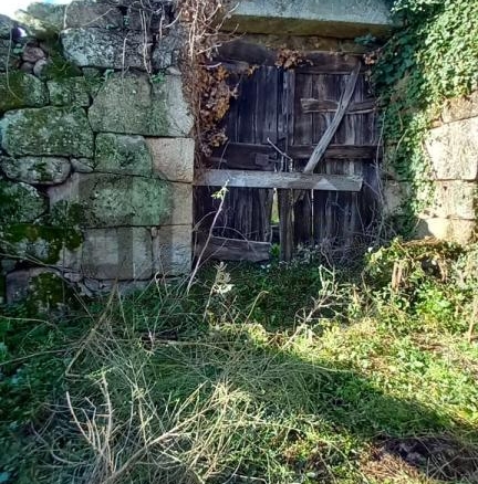 VENTA CASA ZONA GUSTEY