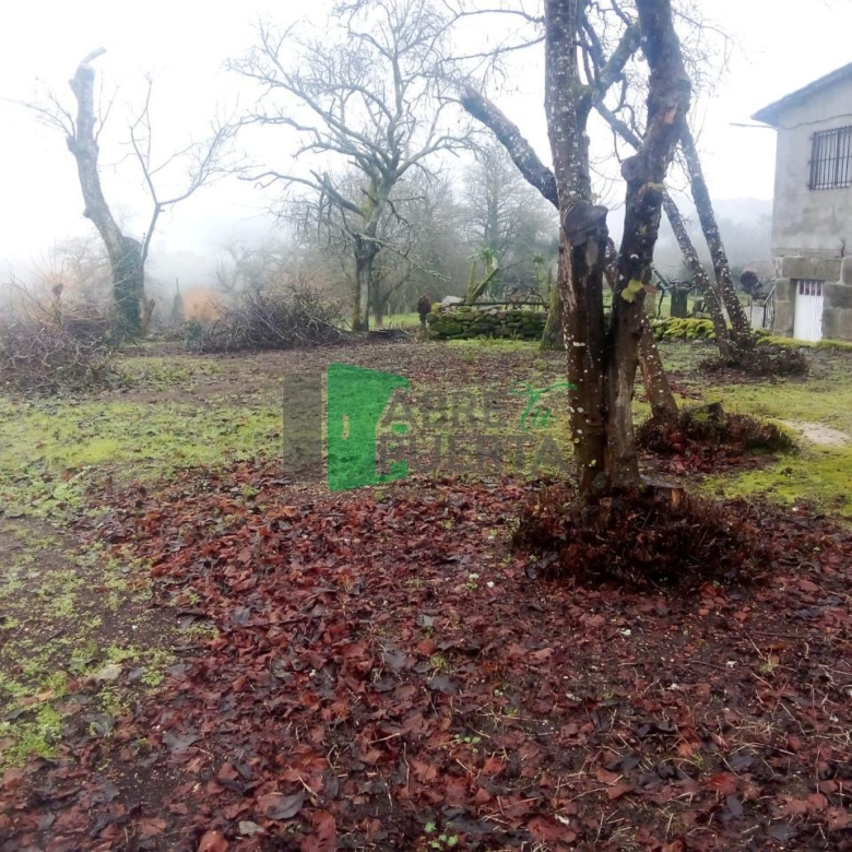 CASA PARA REFORMAR