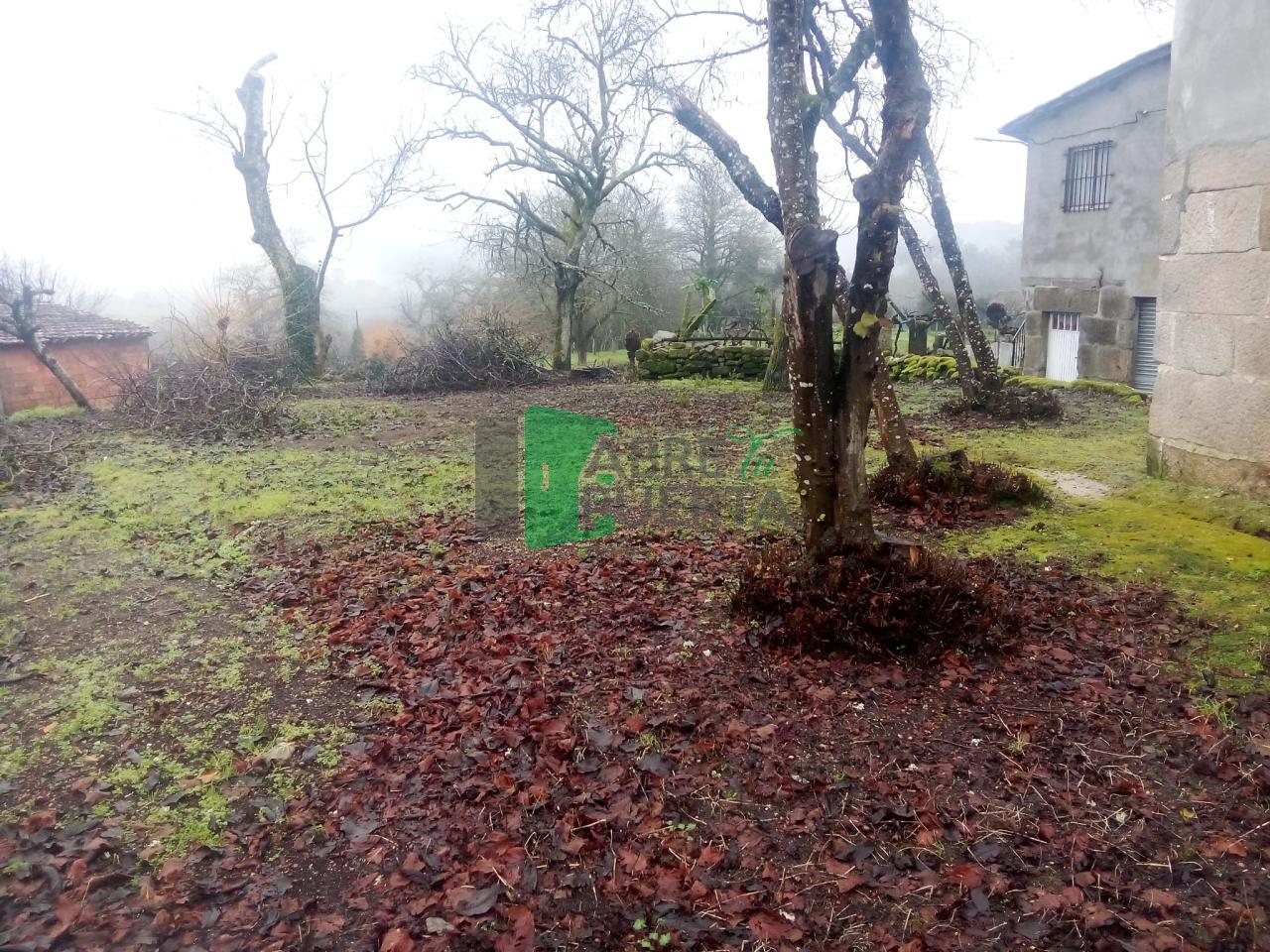 CASA PARA REFORMAR