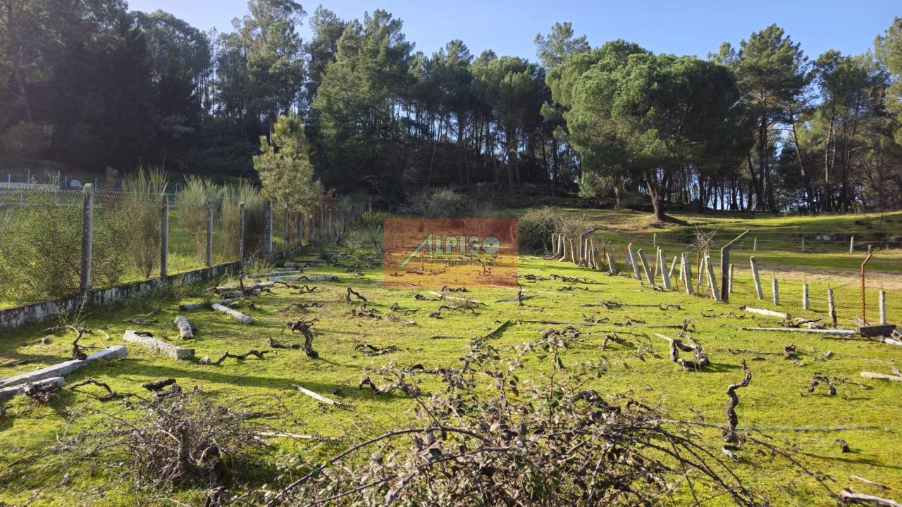 170687591878100008345_170687120547 Parcela en San Cibrao das Viñas
