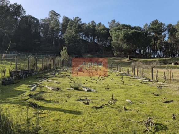 Parcela en San Cibrao das Viñas