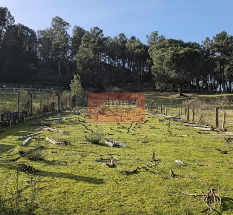 Parcela en San Cibrao das Viñas