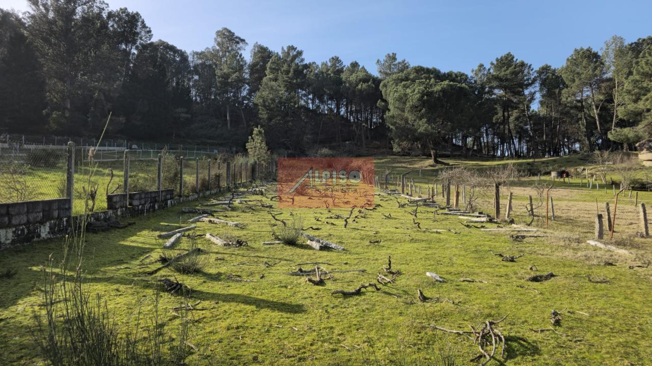 170687592003800008345_170687120968 Parcela en San Cibrao das Viñas
