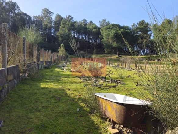 Parcela en San Cibrao das Viñas