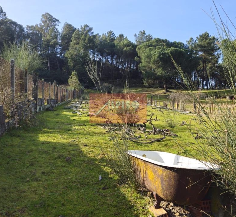 Parcela en San Cibrao das Viñas