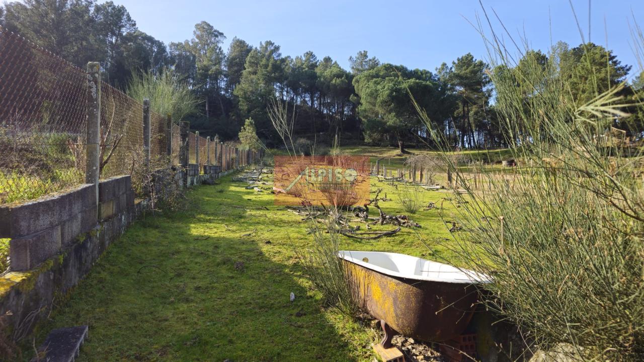 170687592053000008345_170687120859 Parcela en San Cibrao das Viñas