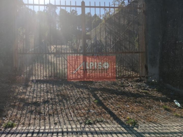 Parcela en San Cibrao das Viñas