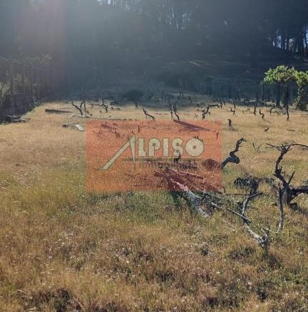 Parcela en San Cibrao das Viñas