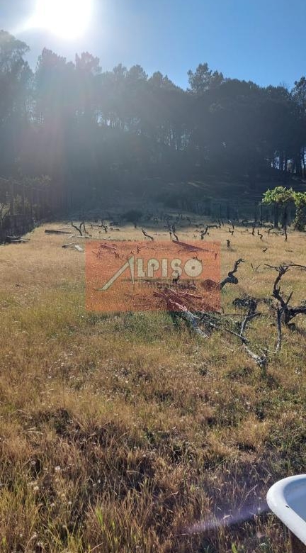 Parcela en San Cibrao das Viñas