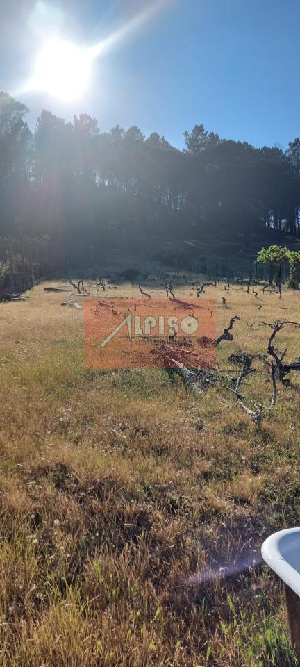 170687592490300008345_170687125298 Parcela en San Cibrao das Viñas