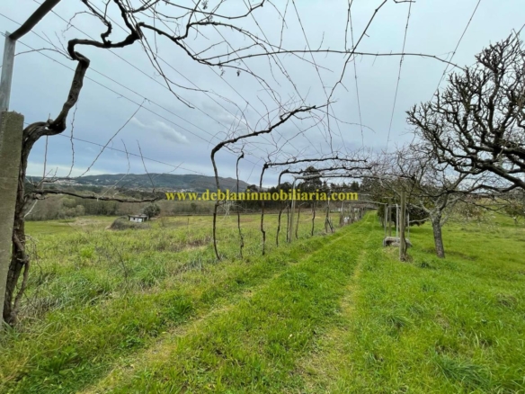 UBICADA EN VALENÇA, QUINTA DO FORTE CON TERRENO DE 22.600 M2