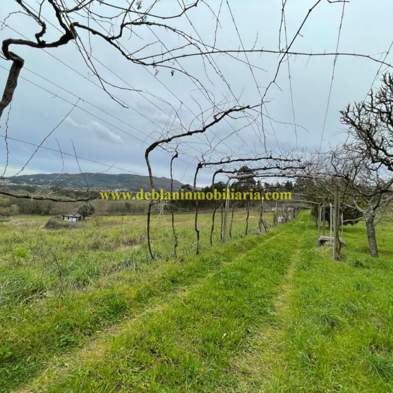 UBICADA EN VALENÇA, QUINTA DO FORTE CON TERRENO DE 22.600 M2