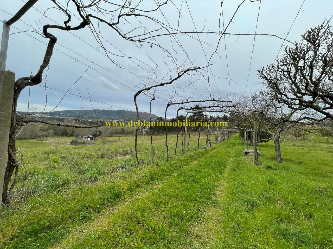 UBICADA EN VALENÇA, QUINTA DO FORTE CON TERRENO DE 22.600 M2