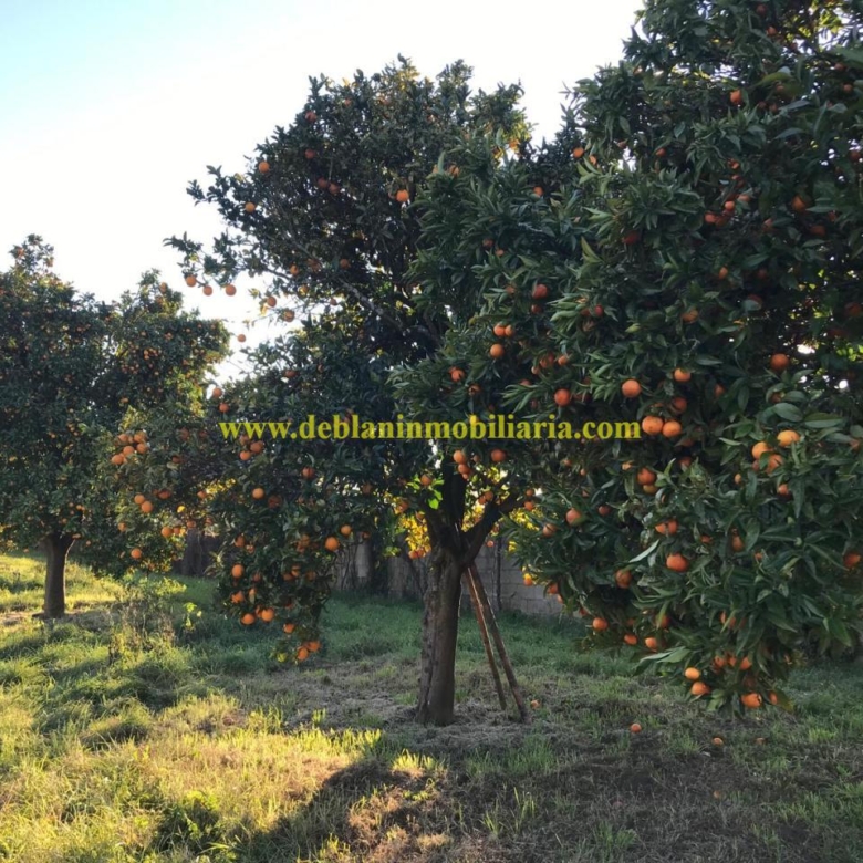 UBICADA EN VALENÇA, QUINTA DO FORTE CON TERRENO DE 22.600 M2