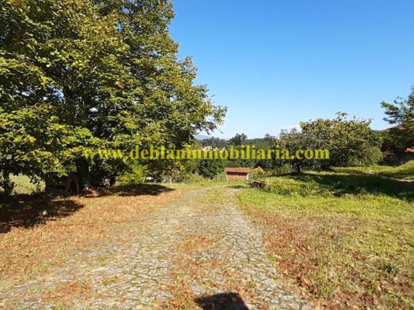 UBICADA EN VALENÇA, QUINTA DO FORTE CON TERRENO DE 22.600 M2