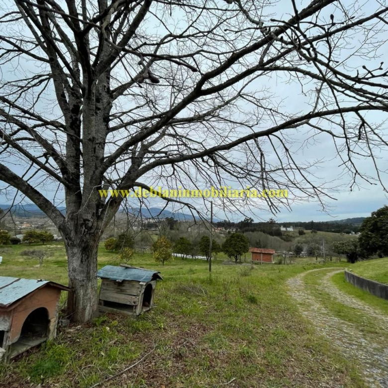 UBICADA EN VALENÇA, QUINTA DO FORTE CON TERRENO DE 22.600 M2