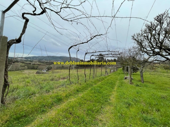 UBICADA EN VALENÇA, QUINTA DO FORTE CON TERRENO DE 22.600 M2