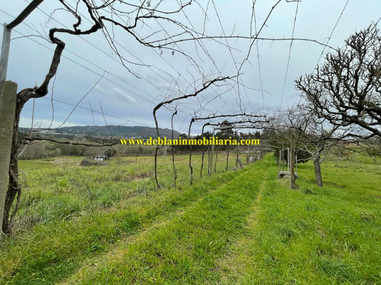170807989517800008389_170807979147 UBICADA EN VALENÇA, QUINTA DO FORTE CON TERRENO DE 22.600 M2