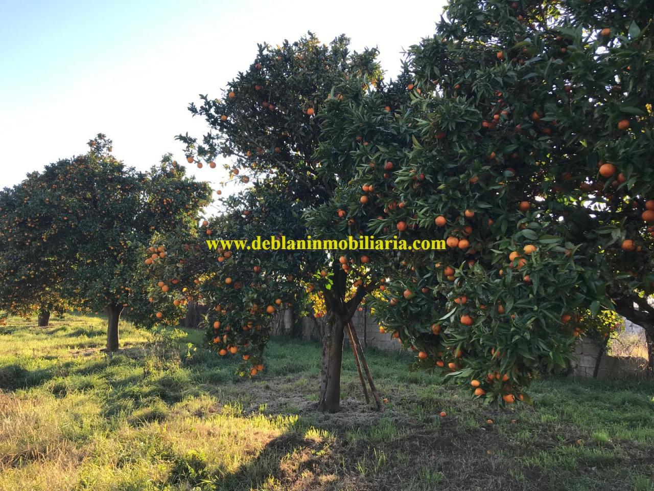 170807989795900008389_170807979263 UBICADA EN VALENÇA, QUINTA DO FORTE CON TERRENO DE 22.600 M2