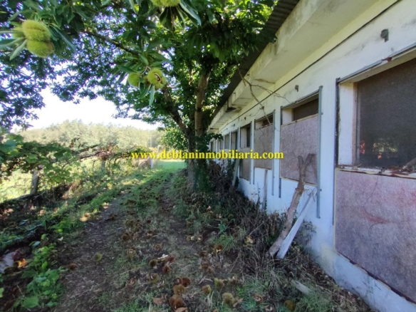 UBICADA EN VALENÇA, QUINTA DO FORTE CON TERRENO DE 22.600 M2