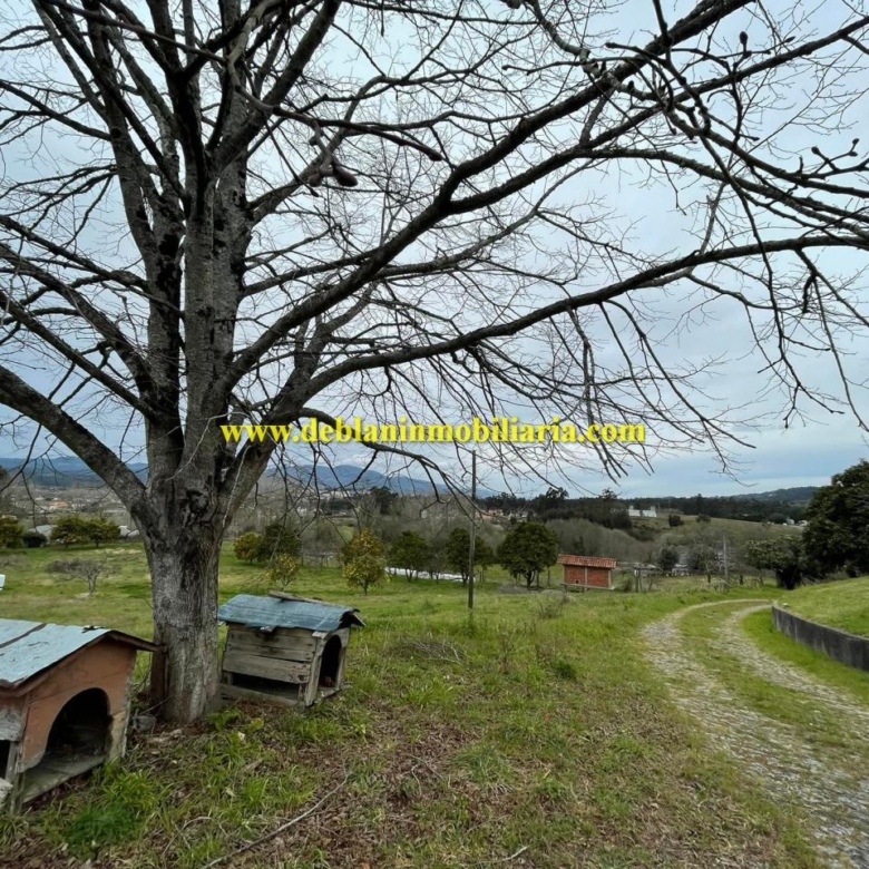 UBICADA EN VALENÇA, QUINTA DO FORTE CON TERRENO DE 22.600 M2