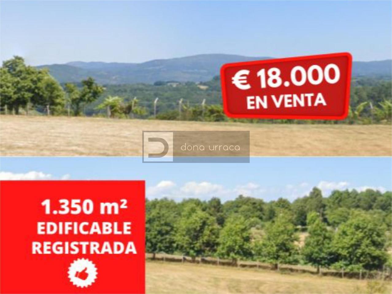170894138250900008413_170894097315 Terreno en venta en Celanova