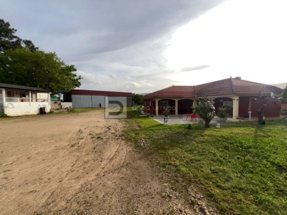 GRAN PARCELA CON BONITO CHALET Y NAVE INDUSTRIAL