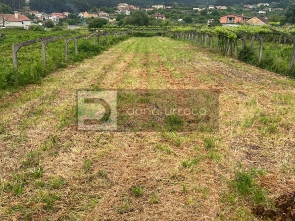 VENTA DE FINCA EDIFICABLE MUY PROXIMA A TUI