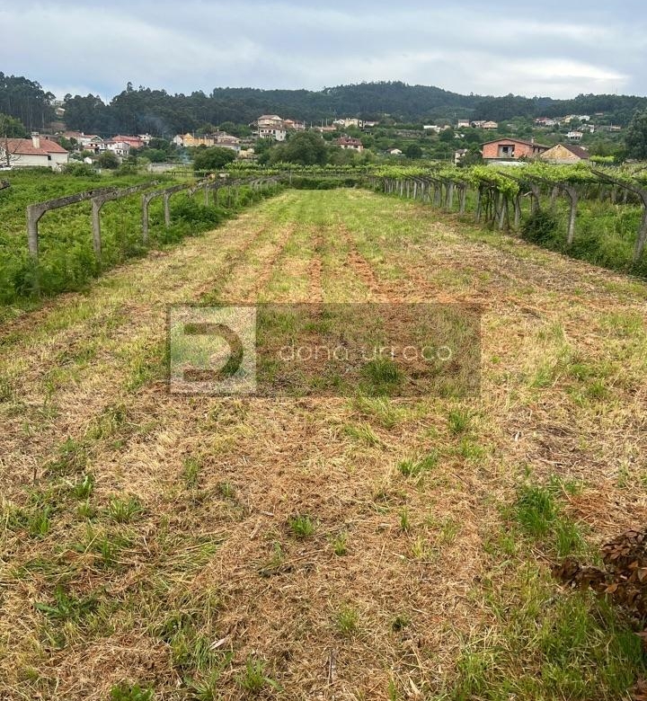 VENTA DE FINCA EDIFICABLE MUY PROXIMA A TUI