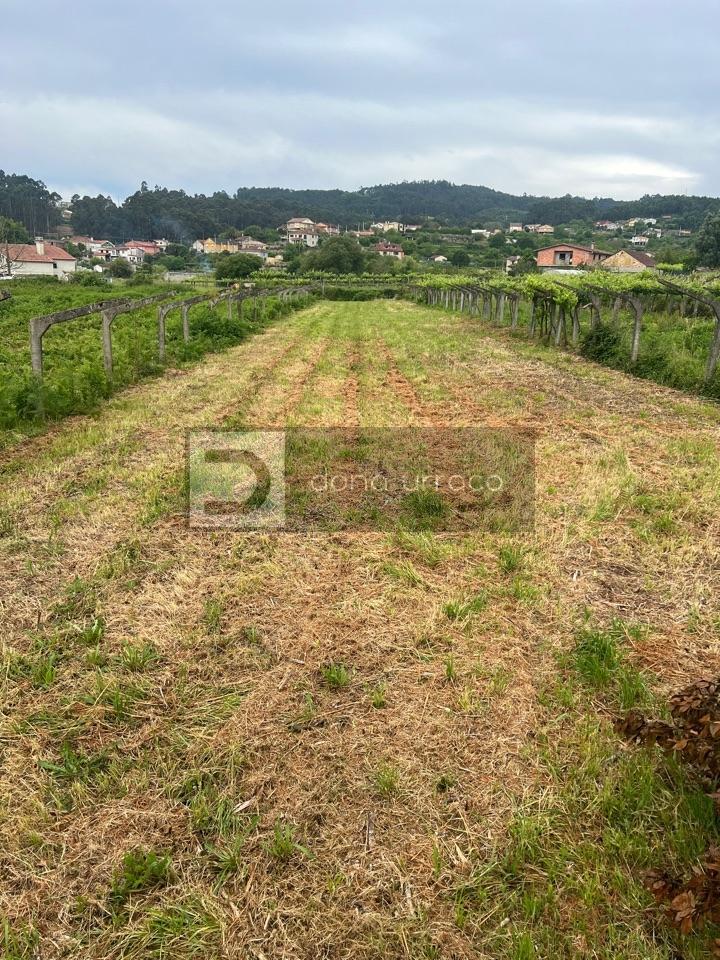 171559217258700008684_171559153469 VENTA DE FINCA EDIFICABLE MUY PROXIMA A TUI
