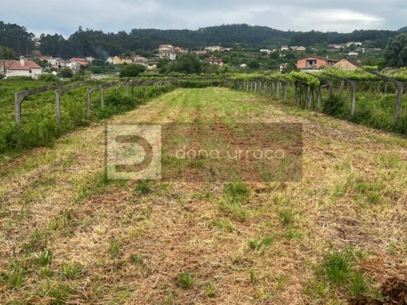 VENTA DE FINCA EDIFICABLE MUY PROXIMA A TUI