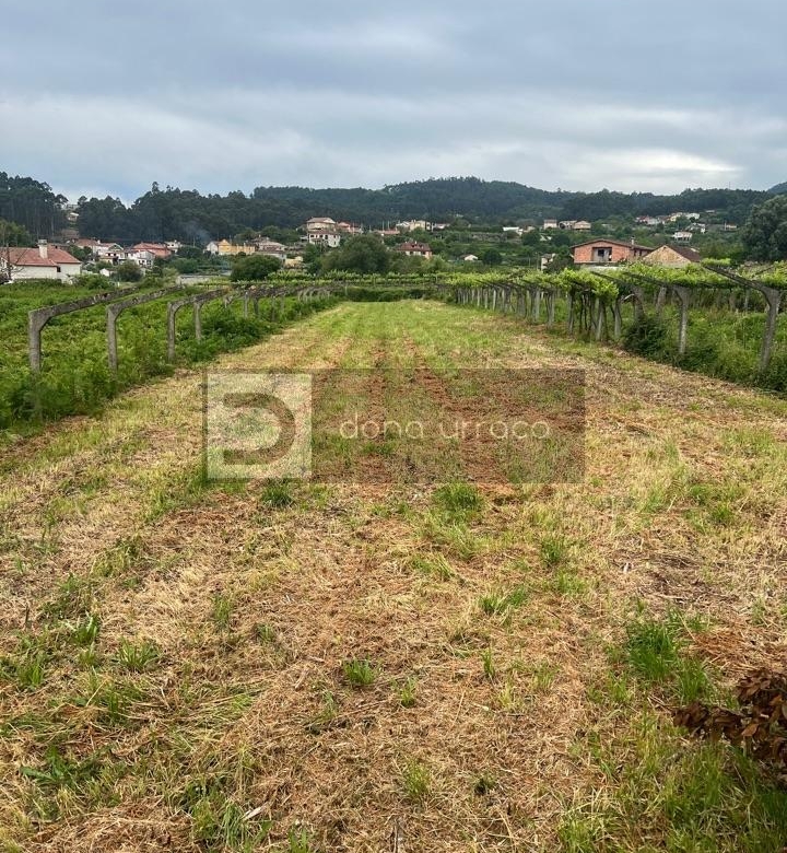 VENTA DE FINCA EDIFICABLE MUY PROXIMA A TUI
