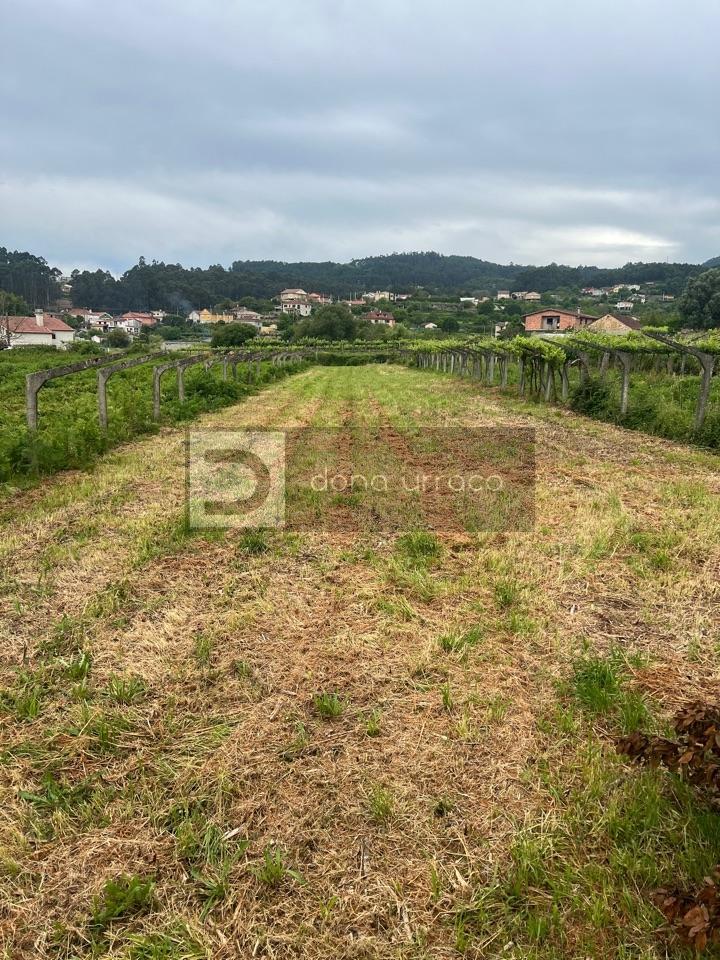 171559217284300008684_171559153404 VENTA DE FINCA EDIFICABLE MUY PROXIMA A TUI