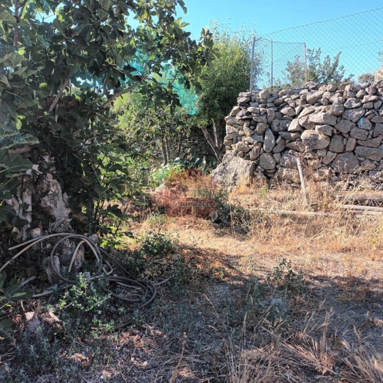 SOLAR EN VENTA EN LEDESMA. REF 137