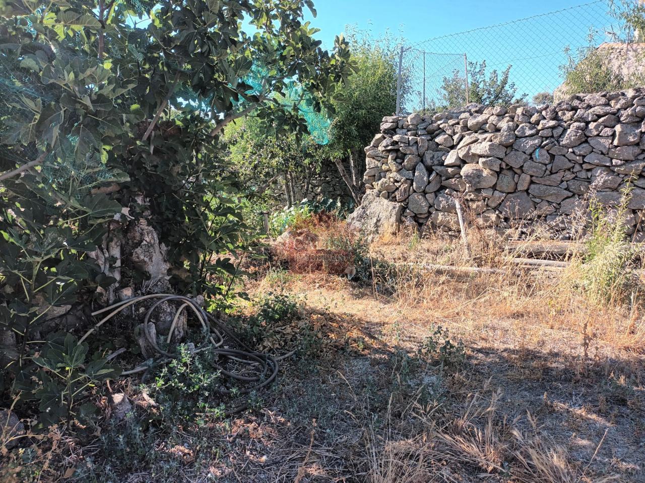 SOLAR EN VENTA EN LEDESMA. REF 137