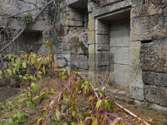 VENTA DE PAZO CERCA DE OUTARIZ