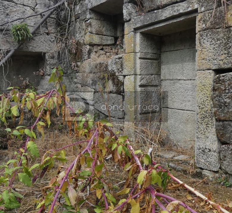 VENTA DE PAZO CERCA DE OUTARIZ