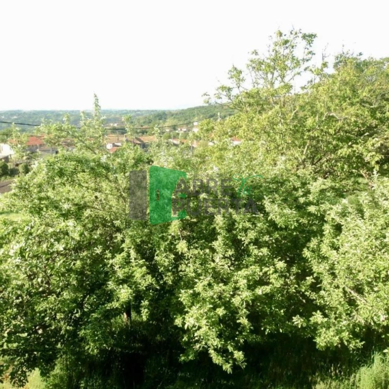CHALET EN VENTA