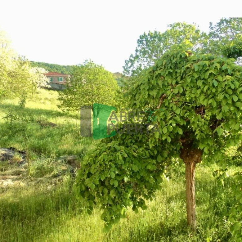 CHALET EN VENTA