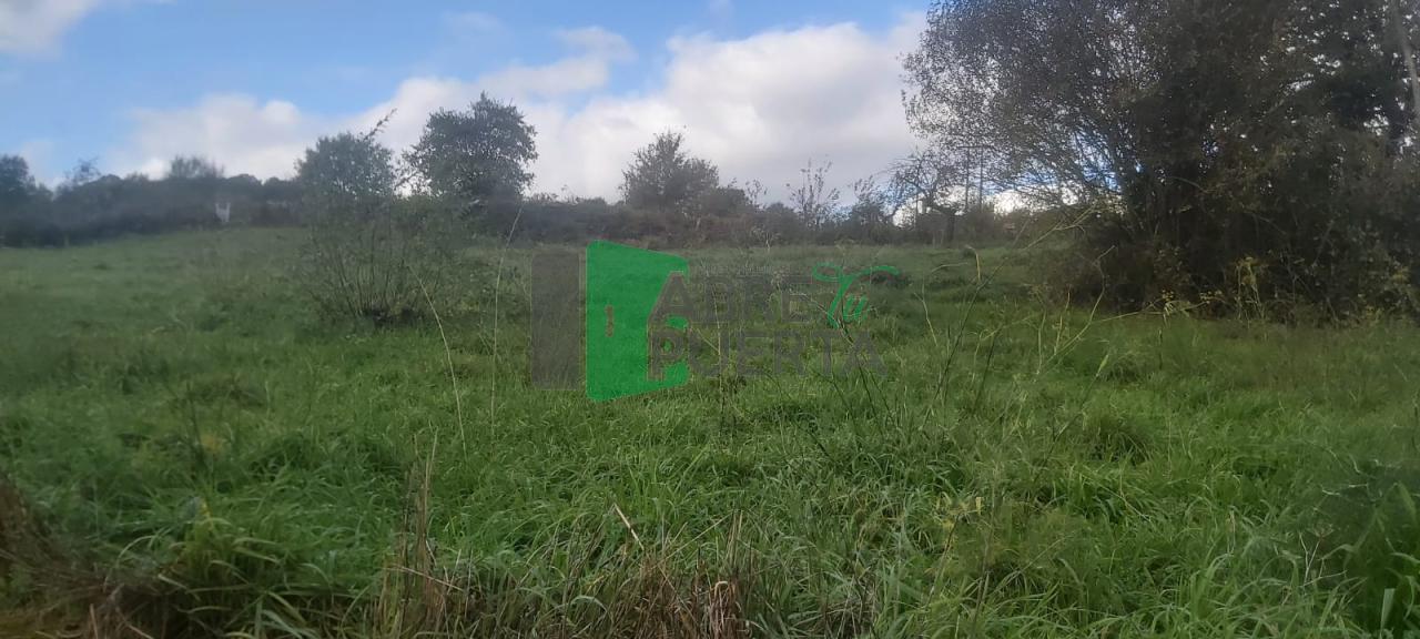 173264057606200009233_173264055113 FINCA EN VENTA