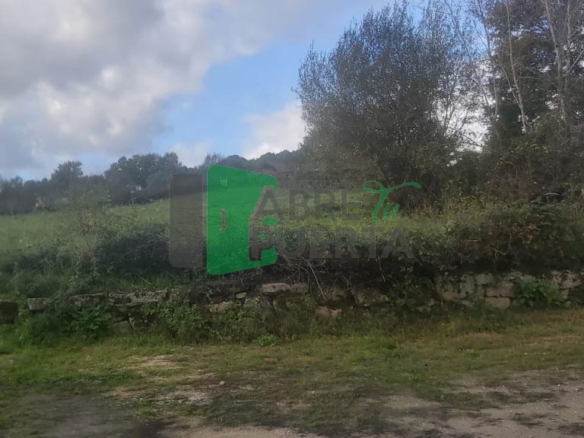 FINCA EN VENTA