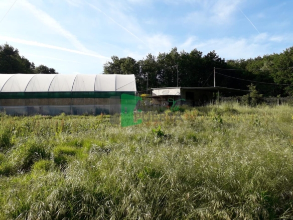 Finca Rústica en Vilamarín