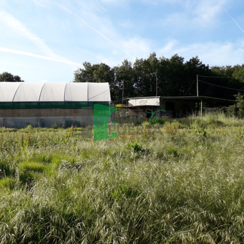 Finca Rústica en Vilamarín