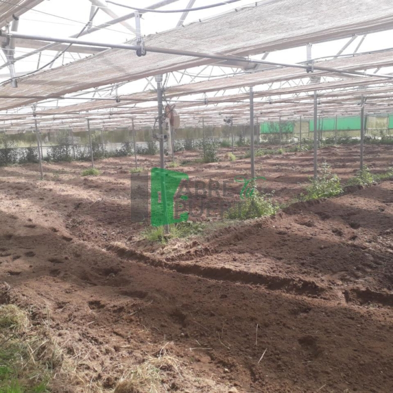 Finca Rústica en Vilamarín