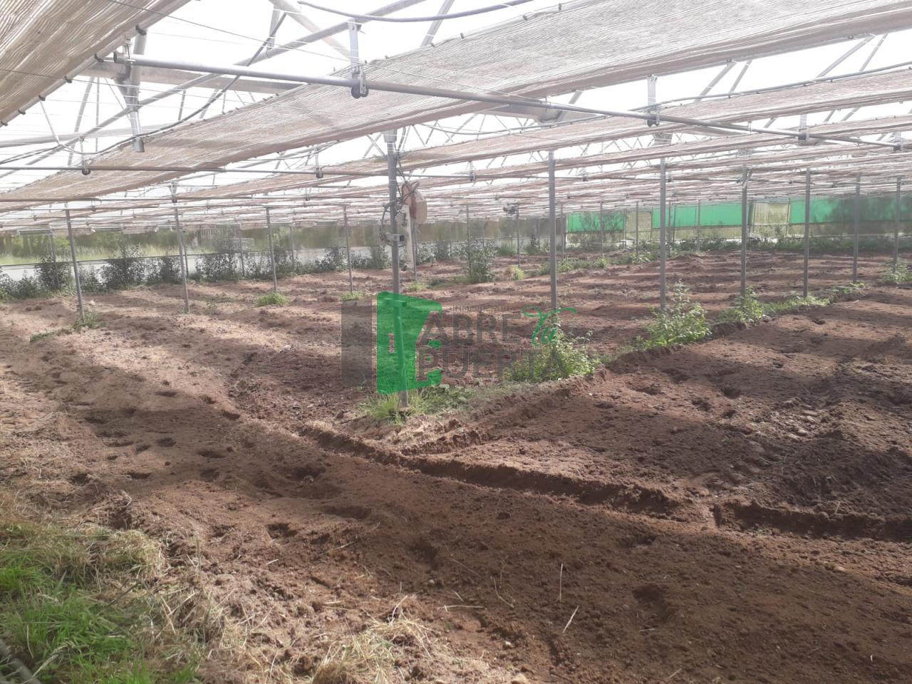 173955420603300009472_173955332756 Finca Rústica en Vilamarín
