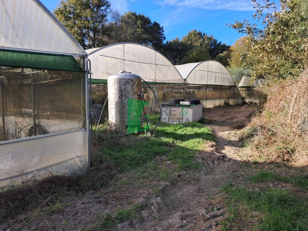 173955420917500009472_173955332487 Finca Rústica en Vilamarín
