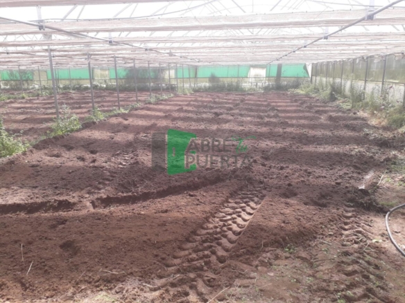 Finca Rústica en Vilamarín