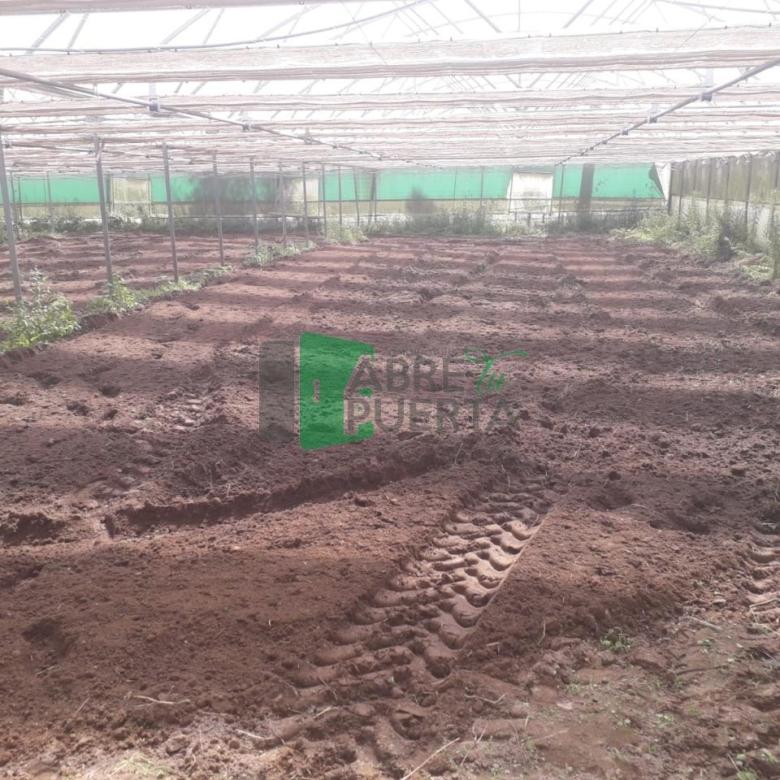 Finca Rústica en Vilamarín