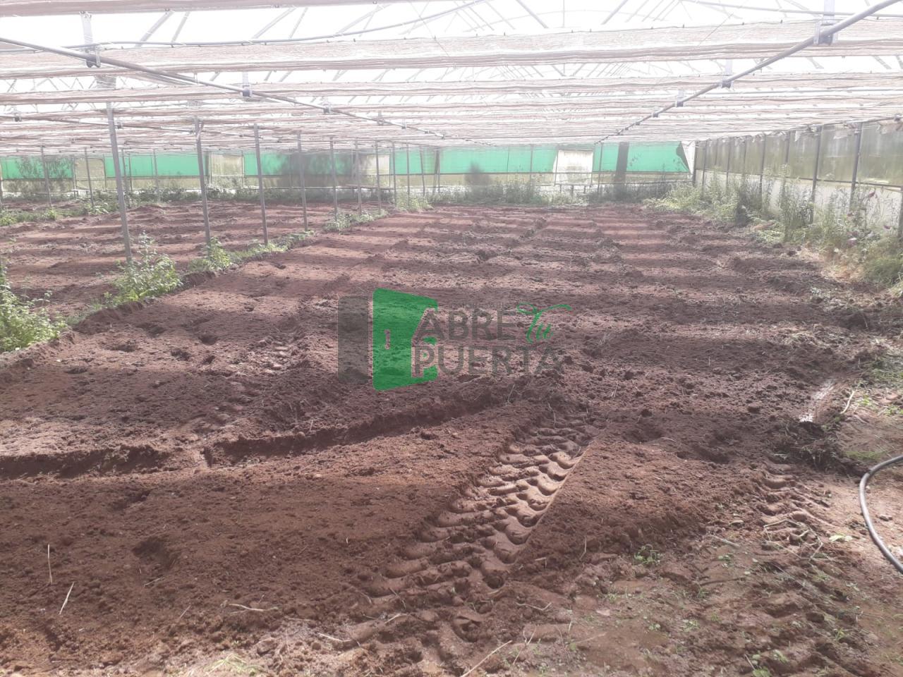 173955420923000009472_173955333264 Finca Rústica en Vilamarín
